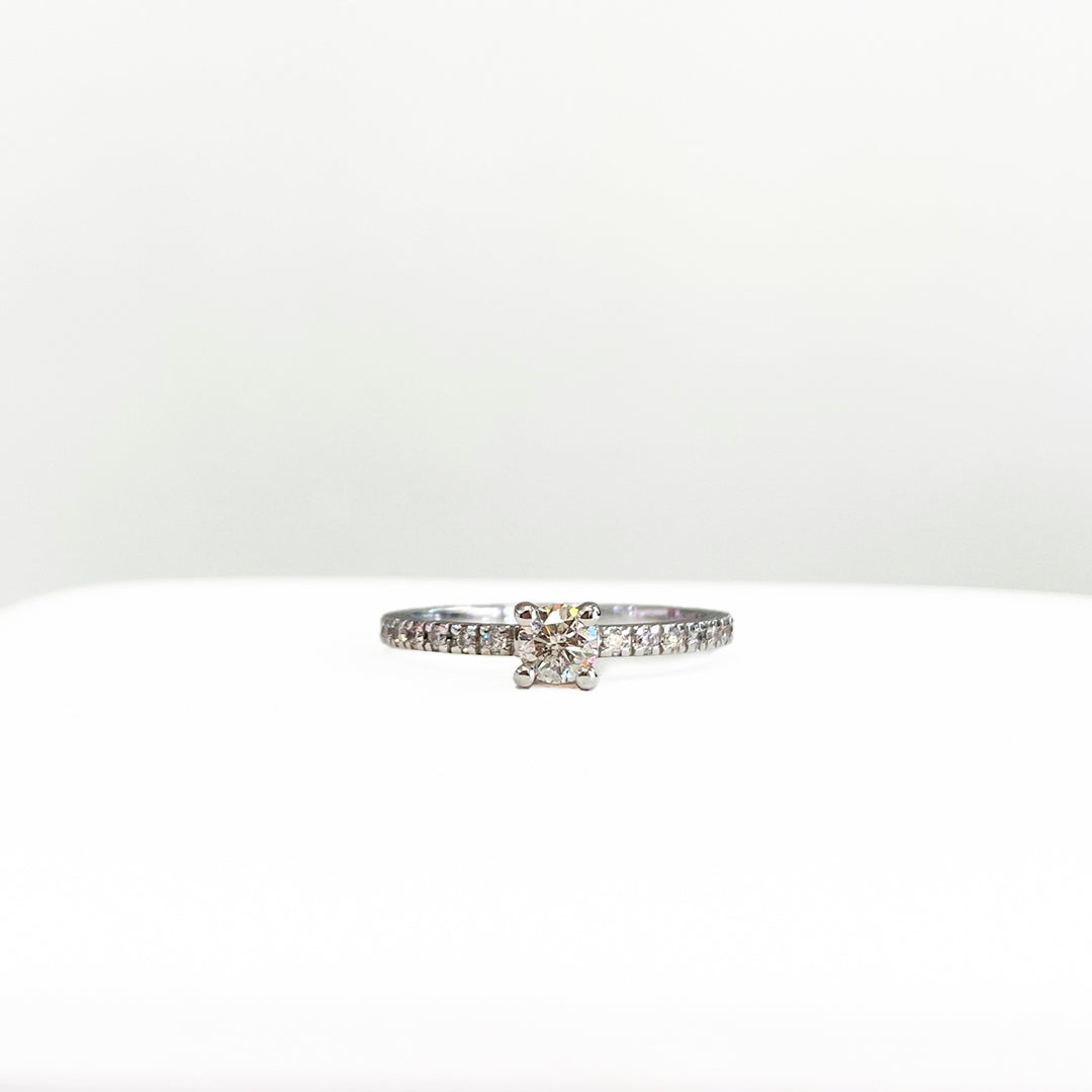 ANILLO LATERALES