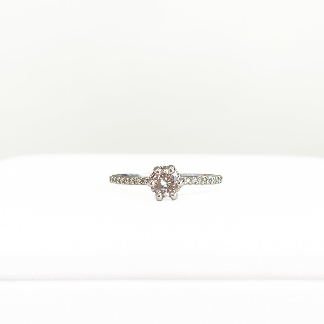 ANILLO CORONITA